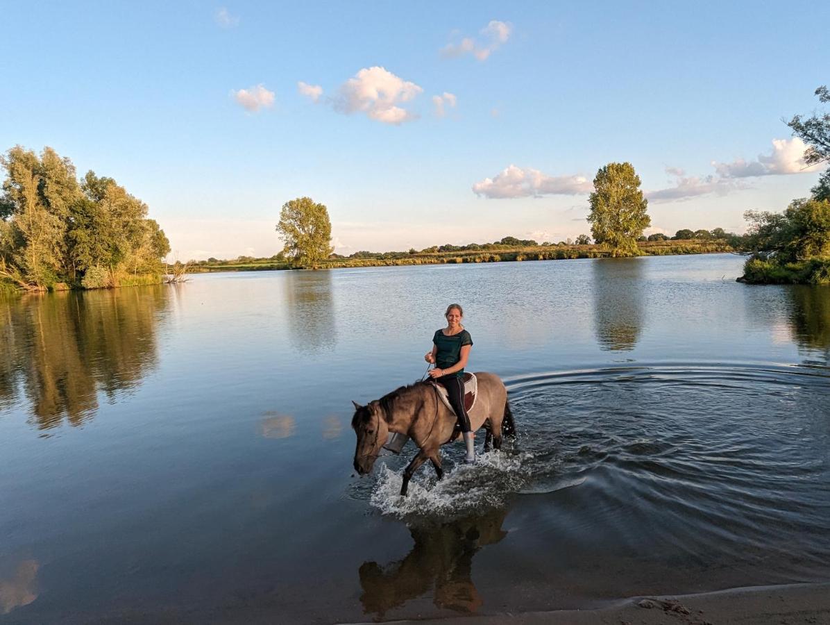 Klavertje 4 Middelaar Luaran gambar