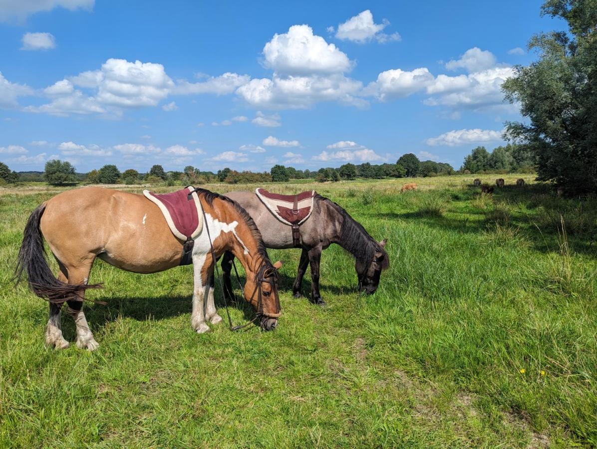 Klavertje 4 Middelaar Luaran gambar